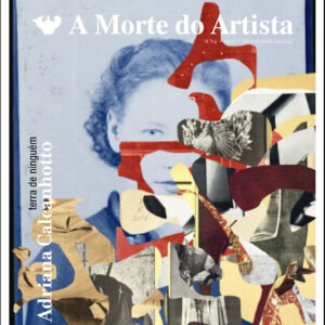 A Morte do Artista Vol. 4 – Terra de Ninguém (Adriana Calcanhotto)