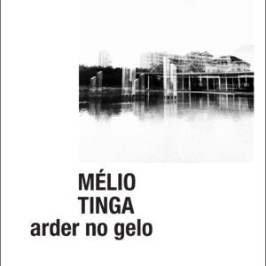 arder no gelo, de Mélio Tinga (Coleção LXYZ, 2)